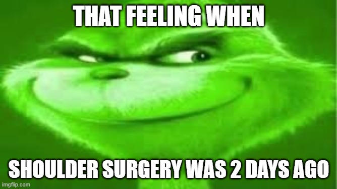 that feeling when shoulder surgery was 2 days ago | THAT FEELING WHEN; SHOULDER SURGERY WAS 2 DAYS AGO | image tagged in green grinch | made w/ Imgflip meme maker