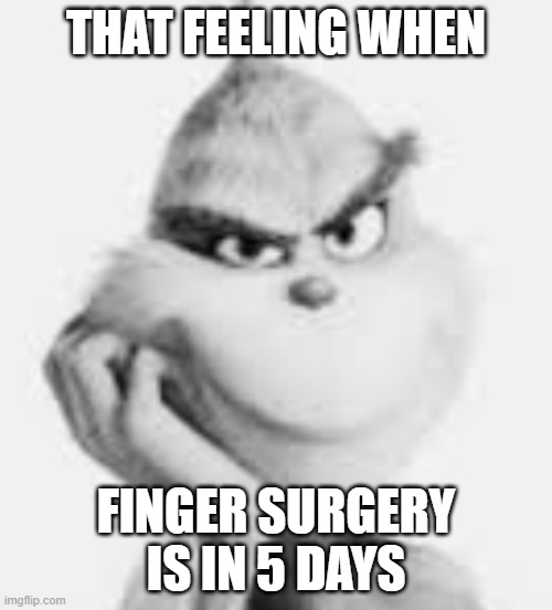 that feeling when finger surgery is in 5 days | THAT FEELING WHEN; FINGER SURGERY IS IN 5 DAYS | image tagged in white grinch | made w/ Imgflip meme maker