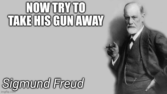 Now try to take his gun away | NOW TRY TO TAKE HIS GUN AWAY; Sigmund Freud | image tagged in sigmund freud | made w/ Imgflip meme maker