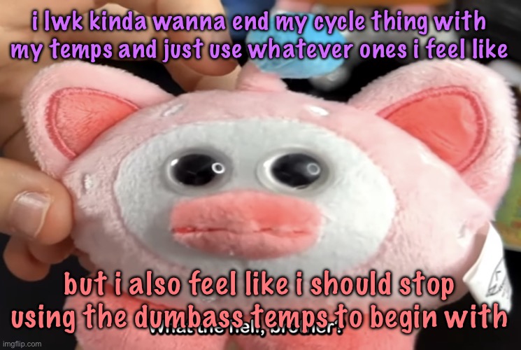 “What the hell, brother?” | i lwk kinda wanna end my cycle thing with my temps and just use whatever ones i feel like; but i also feel like i should stop using the dumbass temps to begin with | image tagged in what the hell brother | made w/ Imgflip meme maker