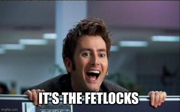 Doctor Who | IT'S THE FETLOCKS | image tagged in doctor who | made w/ Imgflip meme maker