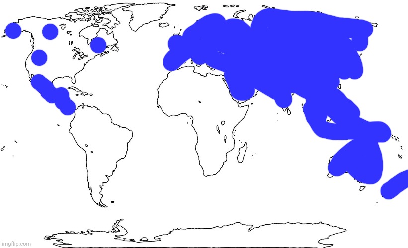 How many of yall did I kill? [pt. 2] | image tagged in world map blank | made w/ Imgflip meme maker