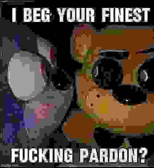 I beg your finest pardon? | image tagged in i beg your finest pardon | made w/ Imgflip meme maker