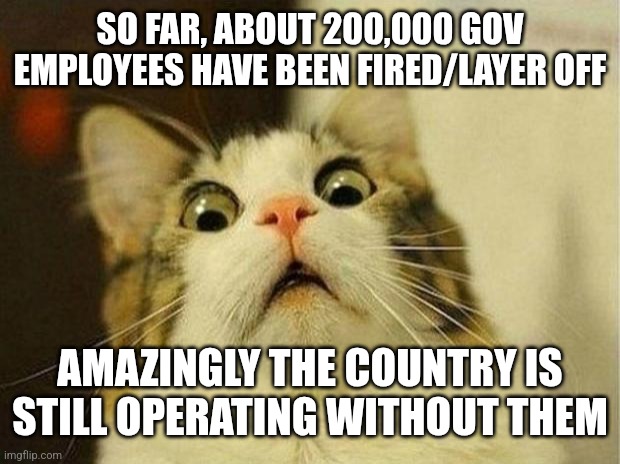 Scared Cat | SO FAR, ABOUT 200,000 GOV EMPLOYEES HAVE BEEN FIRED/LAYER OFF; AMAZINGLY THE COUNTRY IS STILL OPERATING WITHOUT THEM | image tagged in memes,scared cat,funny memes | made w/ Imgflip meme maker