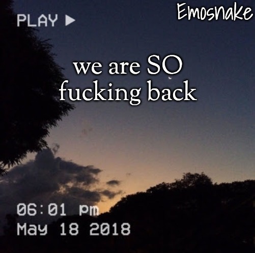 Emosnake's dreamy temp | we are SO fucking back | image tagged in emosnake's dreamy temp | made w/ Imgflip meme maker