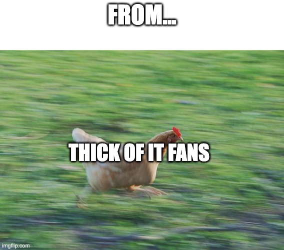 yes | FROM... THICK OF IT FANS | image tagged in fast running chicken | made w/ Imgflip meme maker