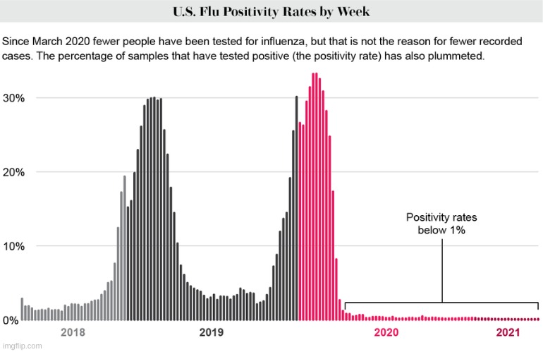 Was it covid? Or was it the flu? Comment your thoughts | image tagged in is covid fake,questionable | made w/ Imgflip meme maker