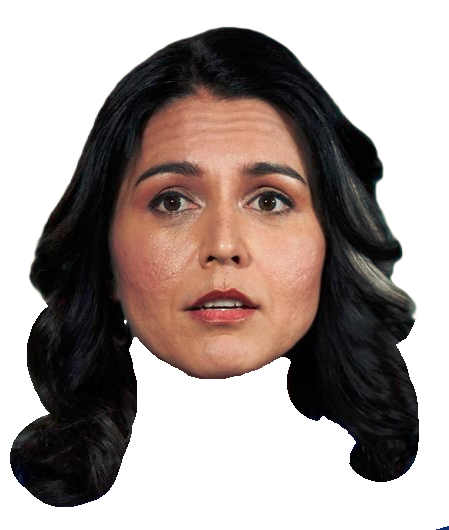Tulsi Gabbard Blank Meme Template