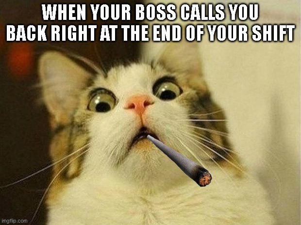 Scared Cat Meme | WHEN YOUR BOSS CALLS YOU BACK RIGHT AT THE END OF YOUR SHIFT | image tagged in memes,scared cat | made w/ Imgflip meme maker