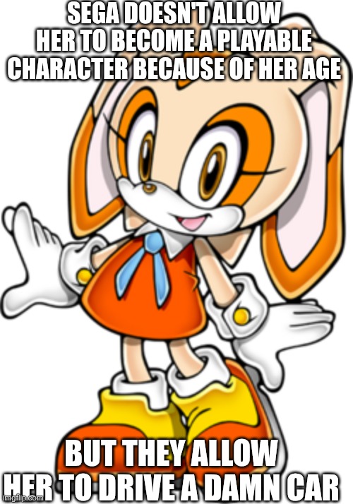 Heh. Logic. | SEGA DOESN'T ALLOW HER TO BECOME A PLAYABLE CHARACTER BECAUSE OF HER AGE; BUT THEY ALLOW HER TO DRIVE A DAMN CAR | image tagged in cream the rabbit sonic adventure design,sonic the hedgehog,sega,game logic,car,cream the rabbit | made w/ Imgflip meme maker