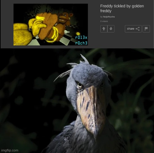 image tagged in shoebill | made w/ Imgflip meme maker