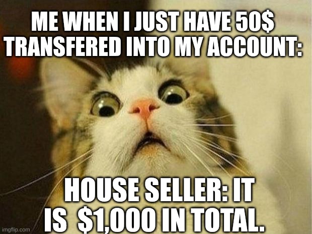 Scared Cat | ME WHEN I JUST HAVE 50$ TRANSFERED INTO MY ACCOUNT:; HOUSE SELLER: IT IS  $1,000 IN TOTAL. | image tagged in memes,scared cat | made w/ Imgflip meme maker