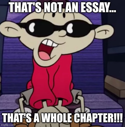 THAT'S NOT AN ESSAY... THAT'S A WHOLE CHAPTER!!! | made w/ Imgflip meme maker