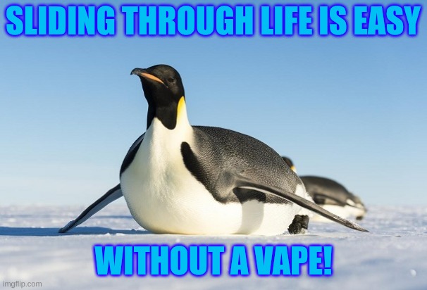 Penguin Says No to Vape | SLIDING THROUGH LIFE IS EASY; WITHOUT A VAPE! | image tagged in sliding penguin | made w/ Imgflip meme maker