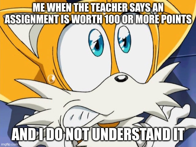 School be like | ME WHEN THE TEACHER SAYS AN ASSIGNMENT IS WORTH 100 OR MORE POINTS; AND I DO NOT UNDERSTAND IT | image tagged in scared tails,school,relatable,memes,funny,comedy | made w/ Imgflip meme maker