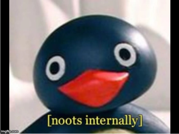 noots internally | image tagged in noots internally | made w/ Imgflip meme maker