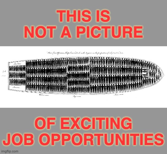 Yes, history happened, and YES, it's still relevant | THIS IS NOT A PICTURE; OF EXCITING JOB OPPORTUNITIES | image tagged in plan of the lower deck of an african slave ship 1789,evil,history,slavery,black history month | made w/ Imgflip meme maker