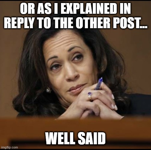 Kamala Harris  | OR AS I EXPLAINED IN REPLY TO THE OTHER POST... WELL SAID | image tagged in kamala harris | made w/ Imgflip meme maker