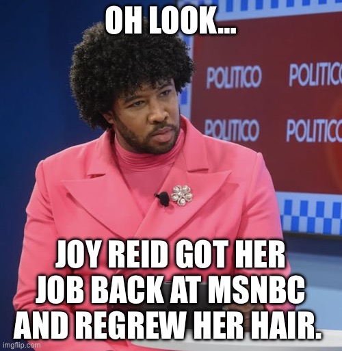 OH LOOK…; JOY REID GOT HER JOB BACK AT MSNBC AND REGREW HER HAIR. | image tagged in msnbc,politics,political meme,news | made w/ Imgflip meme maker