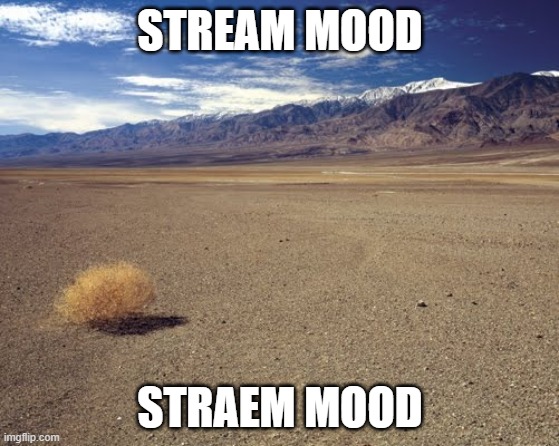 steram mood | STREAM MOOD; STRAEM MOOD | image tagged in desert tumbleweed | made w/ Imgflip meme maker