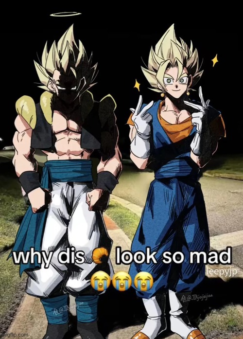 It's futile ?????? | image tagged in meme,vegito,gogeta | made w/ Imgflip meme maker