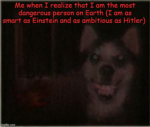 smile dog | Me when I realize that I am the most dangerous person on Earth (I am as smart as Einstein and as ambitious as Hitler) | image tagged in smile dog | made w/ Imgflip meme maker