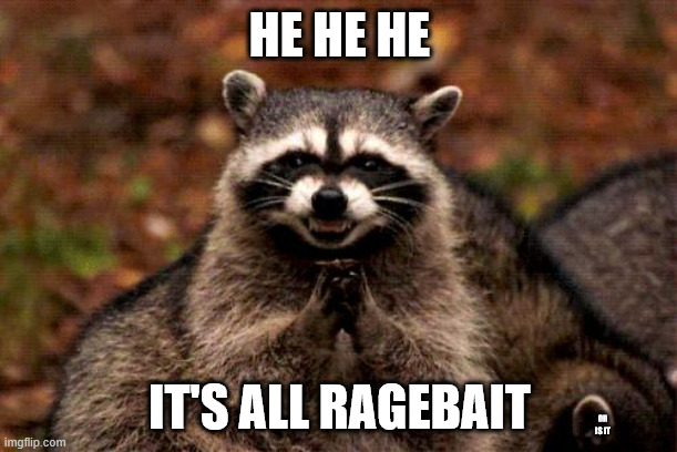 Evil Plotting Raccoon Meme | HE HE HE IT'S ALL RAGEBAIT OR IS IT | image tagged in memes,evil plotting raccoon | made w/ Imgflip meme maker