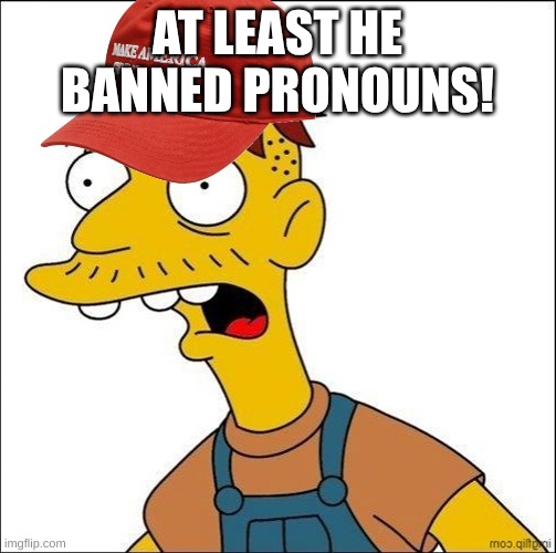 Some Kind Of MAGA Moron | AT LEAST HE BANNED PRONOUNS! | image tagged in some kind of maga moron | made w/ Imgflip meme maker