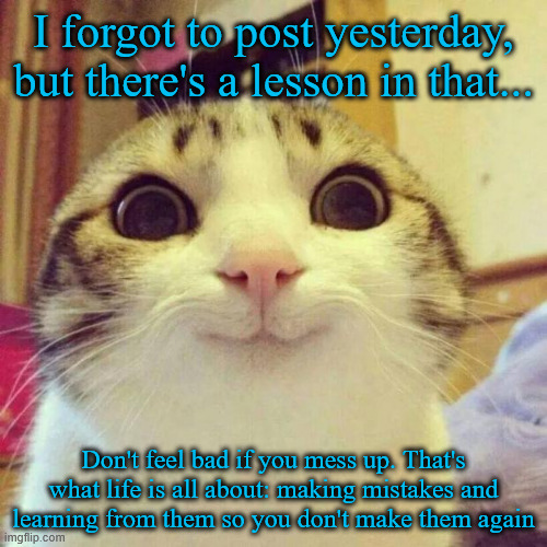 Day 3 of posting something uplifting (almost) every day | I forgot to post yesterday, but there's a lesson in that... Don't feel bad if you mess up. That's what life is all about: making mistakes and learning from them so you don't make them again | image tagged in memes,smiling cat | made w/ Imgflip meme maker