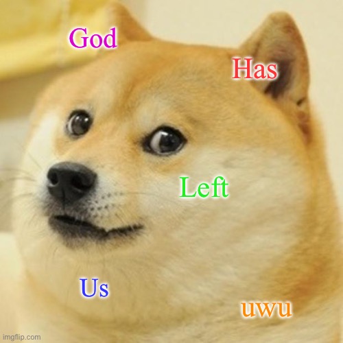 Doge | God; Has; Left; Us; uwu | image tagged in memes,doge,wtf,dank memes,funny,imgflip | made w/ Imgflip meme maker