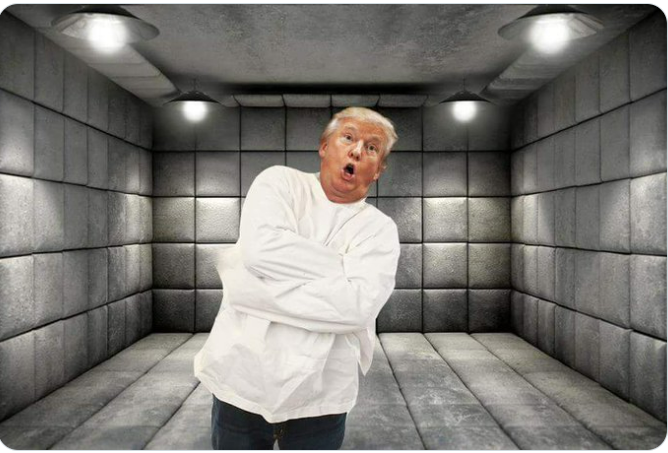 Demented Donald thinks he's king, not president. Senile dementia Blank Meme Template