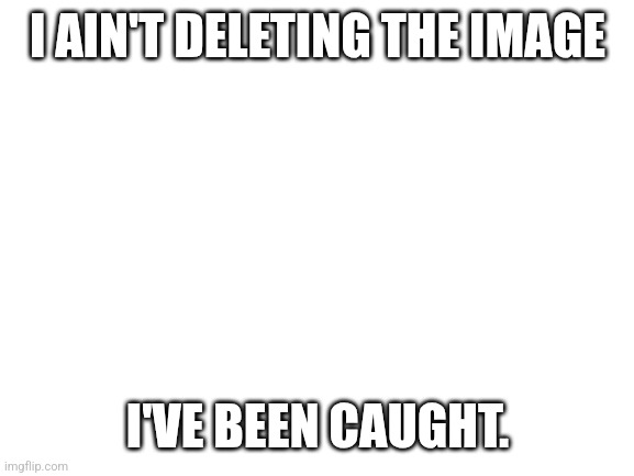 Least they didn't see my old profile | I AIN'T DELETING THE IMAGE; I'VE BEEN CAUGHT. | image tagged in blank white template | made w/ Imgflip meme maker