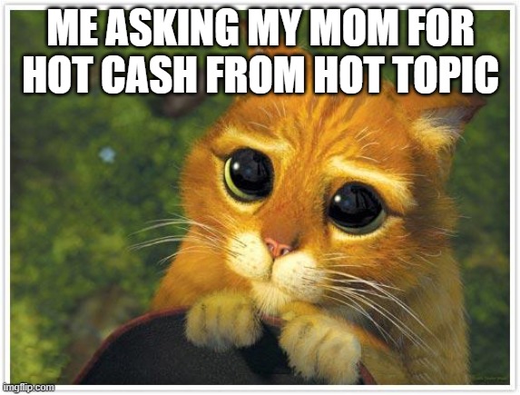 HOT TOPIC | ME ASKING MY MOM FOR HOT CASH FROM HOT TOPIC | image tagged in cat | made w/ Imgflip meme maker