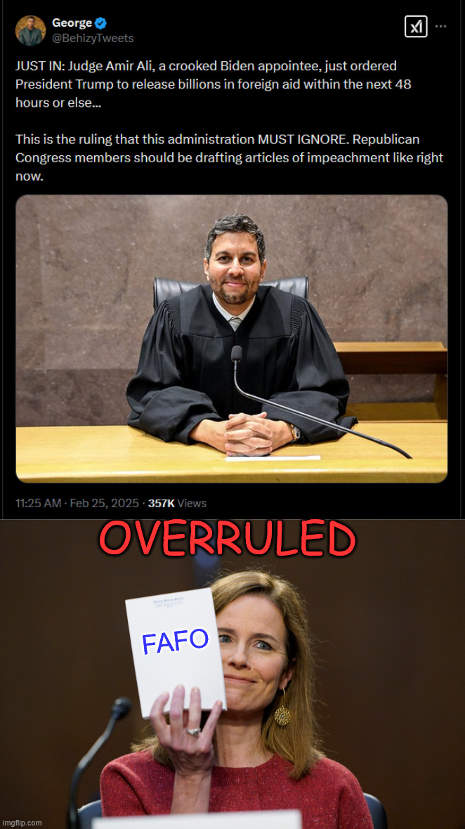 Biden judge... OVERRULED | OVERRULED; FAFO | image tagged in biden judge,overruled | made w/ Imgflip meme maker