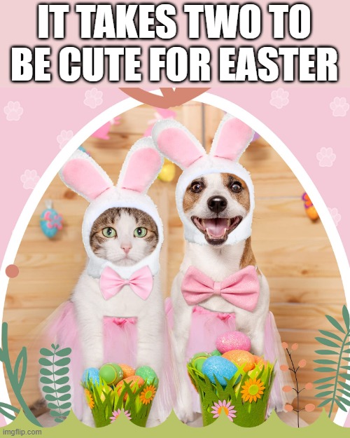 memes by Brad - It takes 2 to be cute for Easter - Dog & Cat cute - | IT TAKES TWO TO BE CUTE FOR EASTER | image tagged in cats,dogs,easter,kittens,happy easter,cute animals | made w/ Imgflip meme maker