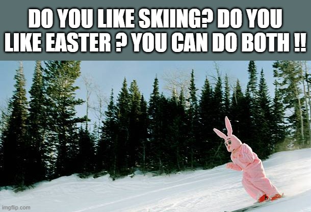 memes by Brad - Do you like Easter & snow skiing? You can do both | DO YOU LIKE SKIING? DO YOU LIKE EASTER ? YOU CAN DO BOTH !! | image tagged in sports,skiing,easter,bunny,snow,funny | made w/ Imgflip meme maker