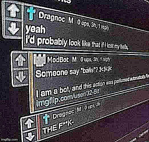 dragnoc modbot someone say balls? Blank Meme Template