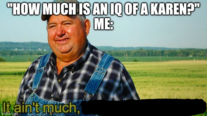 K   A   R   E   N | "HOW MUCH IS AN IQ OF A KAREN?"
ME: | image tagged in karen,memes,karen the manager will see you now,manager | made w/ Imgflip meme maker