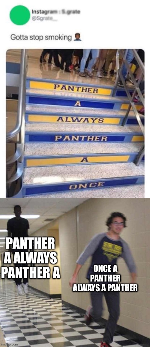 Panther | PANTHER A ALWAYS PANTHER A; ONCE A PANTHER ALWAYS A PANTHER | image tagged in floating boy chasing running boy,panther,cat | made w/ Imgflip meme maker