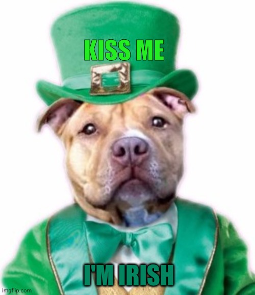 Irish Dog | KISS ME; I'M IRISH | image tagged in irish dog,kiss me | made w/ Imgflip meme maker