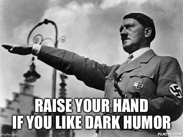 Anyone else a fan of Rucka Rucka Ali | RAISE YOUR HAND IF YOU LIKE DARK HUMOR | image tagged in hitler,dark humor | made w/ Imgflip meme maker