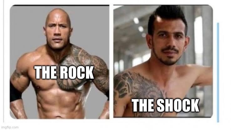 X vs Y | THE ROCK; THE SHOCK | image tagged in x vs y | made w/ Imgflip meme maker