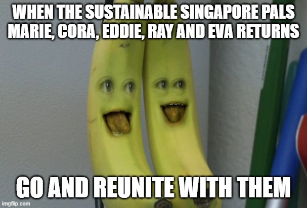 If Marie, Cora, Eddie, Ray and Eva comes back for real. | WHEN THE SUSTAINABLE SINGAPORE PALS MARIE, CORA, EDDIE, RAY AND EVA RETURNS; GO AND REUNITE WITH THEM | image tagged in annoying orange banana | made w/ Imgflip meme maker