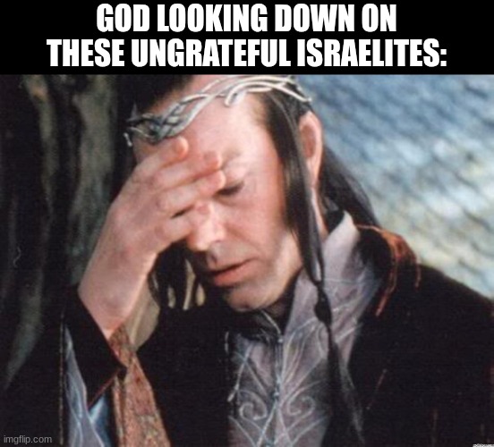 I got just as frustrated and i was just reading the story. | GOD LOOKING DOWN ON THESE UNGRATEFUL ISRAELITES: | image tagged in elrond,christian,lotr | made w/ Imgflip meme maker