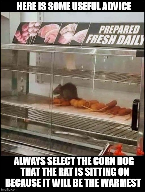 There's A Helpful Rat In The Food Cabinet ! | HERE IS SOME USEFUL ADVICE; ALWAYS SELECT THE CORN DOG
 THAT THE RAT IS SITTING ON BECAUSE IT WILL BE THE WARMEST | image tagged in fast food,helpful,rat,dark humour | made w/ Imgflip meme maker