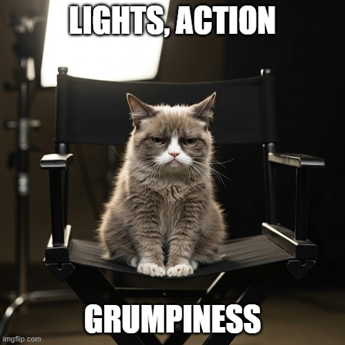 Grumpy Cat director | LIGHTS, ACTION; GRUMPINESS | image tagged in grumpy cat not amused | made w/ Imgflip meme maker