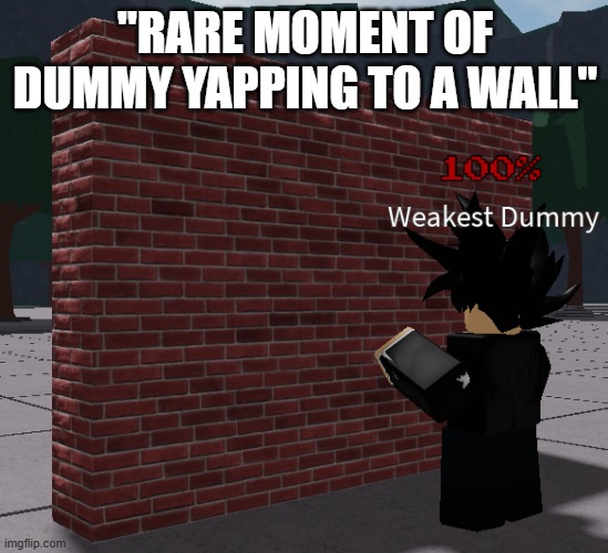 "RARE MOMENT OF DUMMY YAPPING TO A WALL" | made w/ Imgflip meme maker