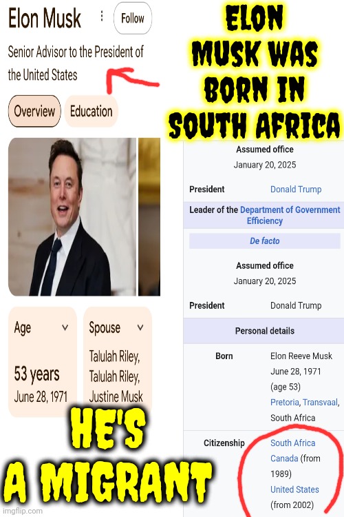 It's Mother Was A Migrant.  Two Of It's Wives And It's Senior Advisor Are/Were Immigrants | Elon Musk was born in South Africa; HE'S A MIGRANT | image tagged in donald trump is a convicted rapist,elon musk is an immigrant,lock him up,traitors,memes,criminal minds | made w/ Imgflip meme maker