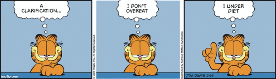 Garfield | image tagged in comics | made w/ Imgflip meme maker