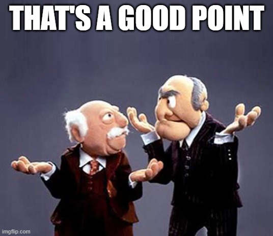 statler and waldorf | THAT'S A GOOD POINT | image tagged in statler and waldorf | made w/ Imgflip meme maker